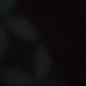 Meet your Posher, Washington